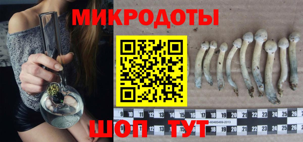 Галлюциногенные грибы мицелий  Галлюциногенные грибы прущие грибы  Мценск  Вход с VPN 