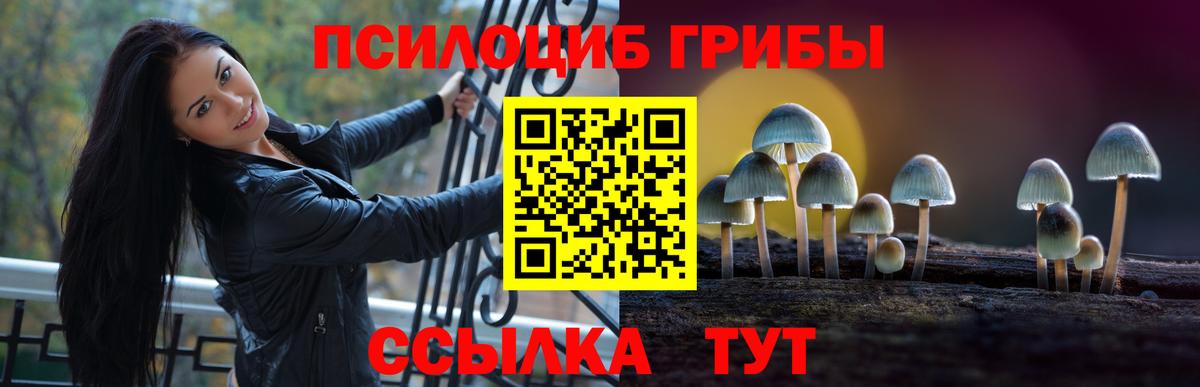 Галлюциногенные грибы Cubensis Мценск
